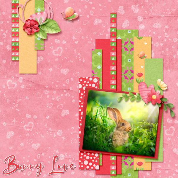 Bunny