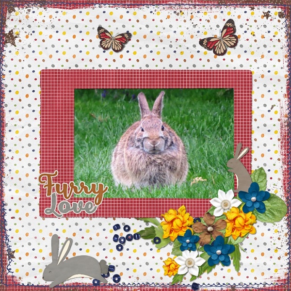 Bunny