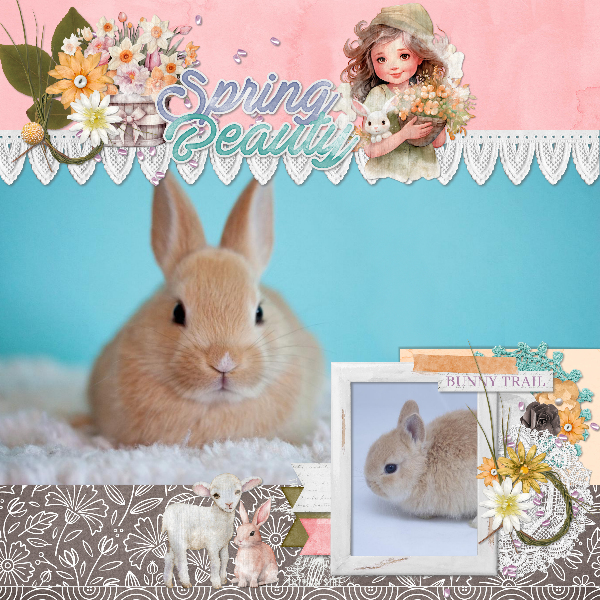 Bunny