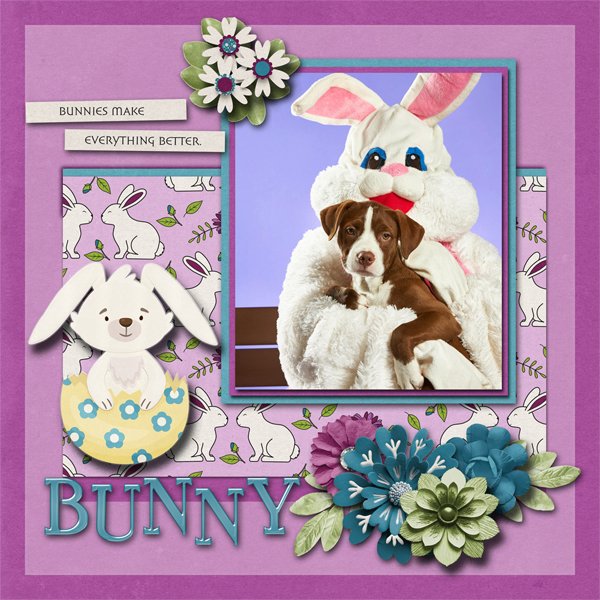 BUNNY