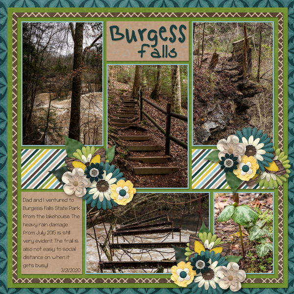 Burgess Falls 1