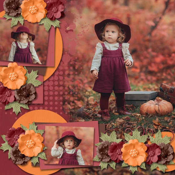 burgundy autumn