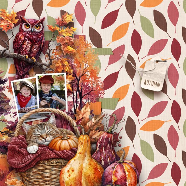 Burgundy Autumn
