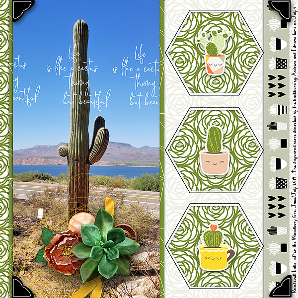Burnt Saguaro