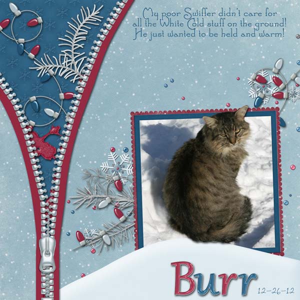 BurrKitty