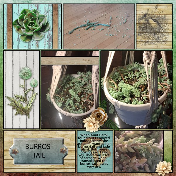 Burro-Tail Right