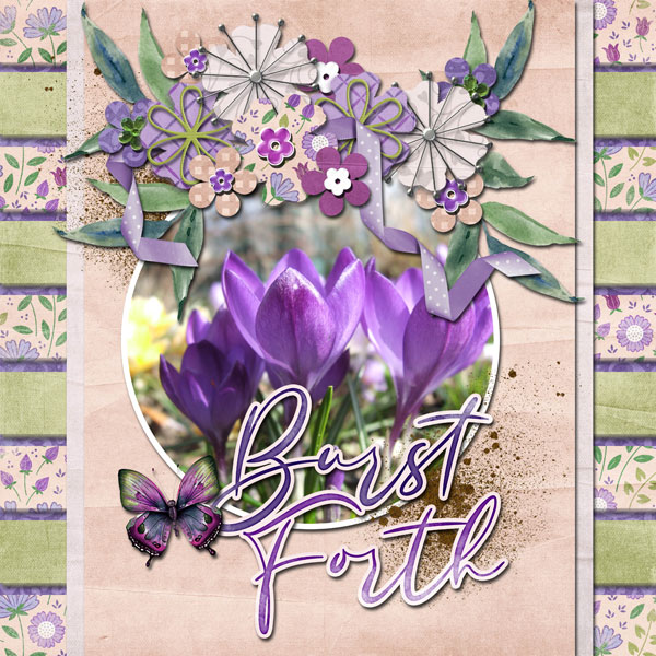 burst forth