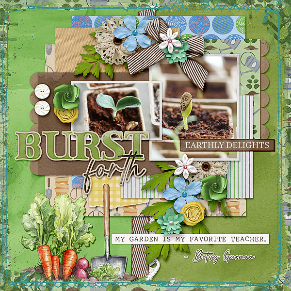 Burst Forth
