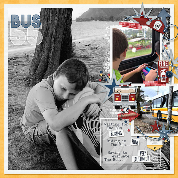 Bus 55