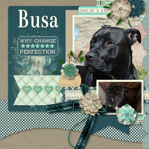 Busa