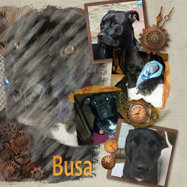 Busa
