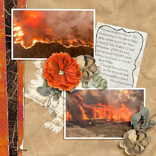 Bush Fires