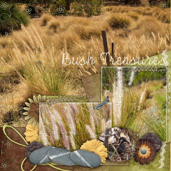 Bush Treasures