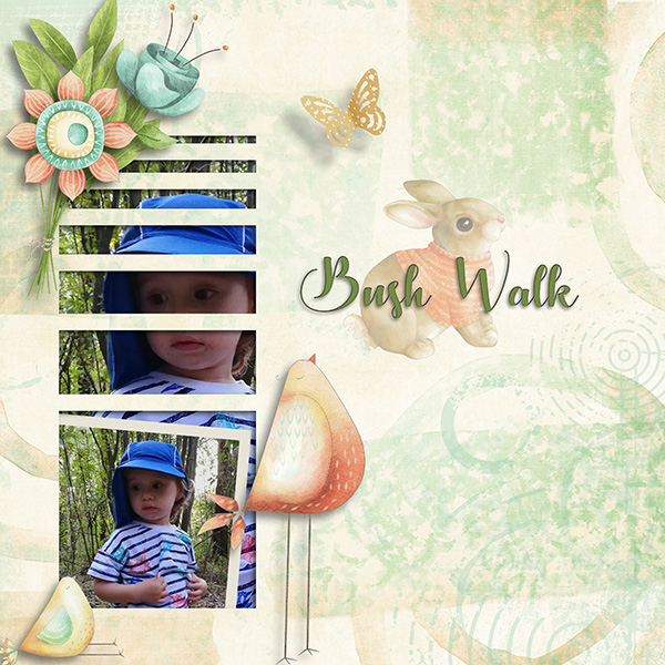 Bush Walk