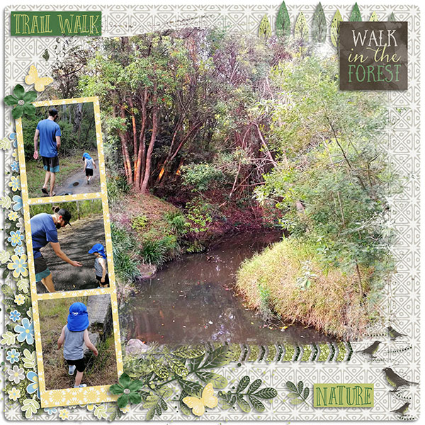 Bush Walk