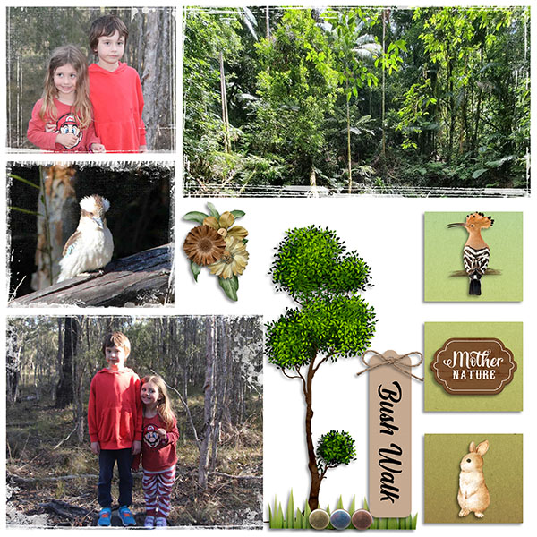 Bush Walk