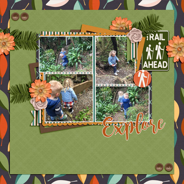 Bush Walking