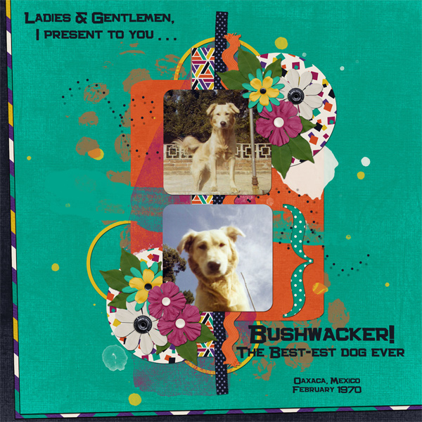 Bushwacker