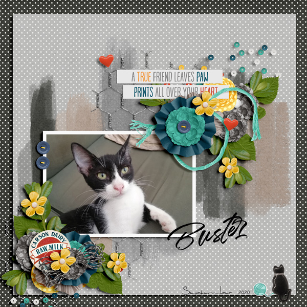 Buster September 2020