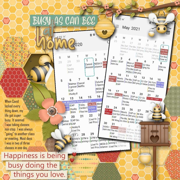 Busy as can Bee at home