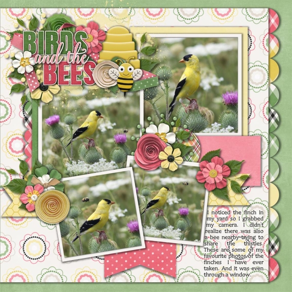Busy Bees