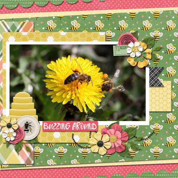 Busy Bees