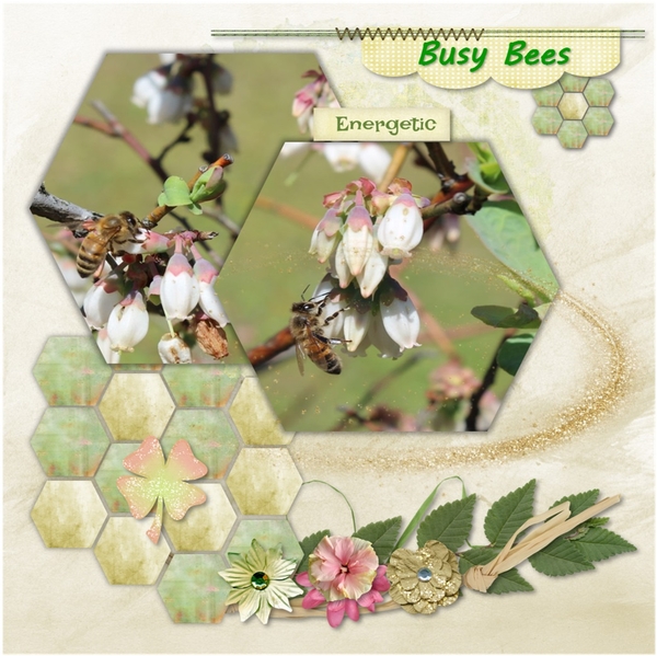 Busy Bees