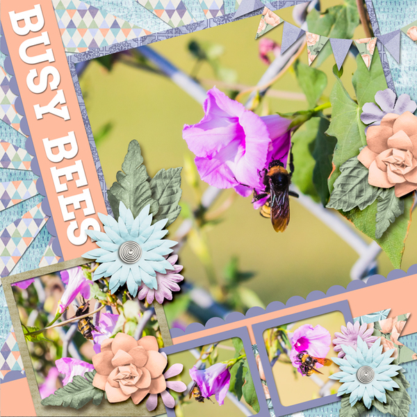 Busy Bees