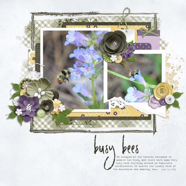 Busy Bees