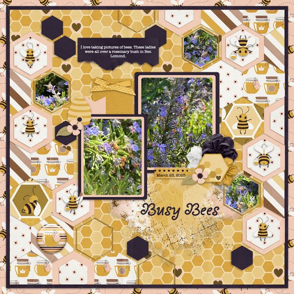 Busy Bees