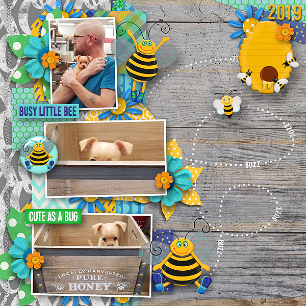 Busy Little Bee