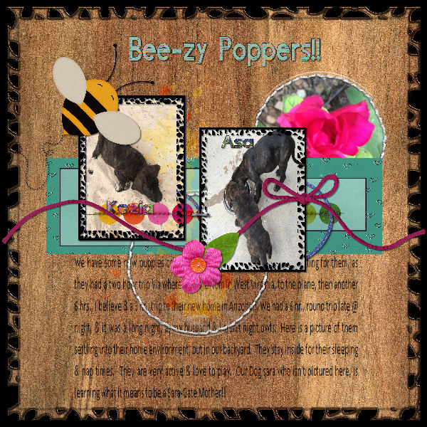 Busy Puppies