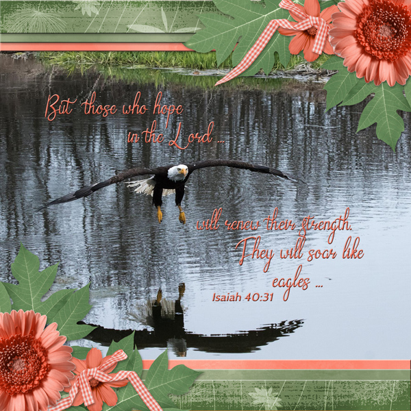 But those who hope in the Lord ...