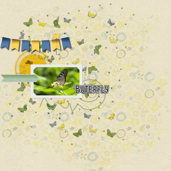 Buterfly