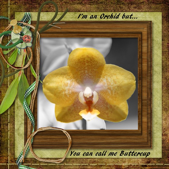 Buttercup