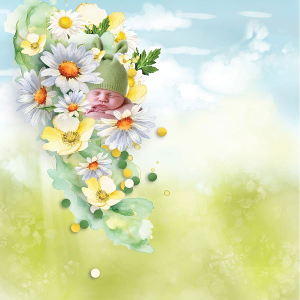 Buttercups & Daisies