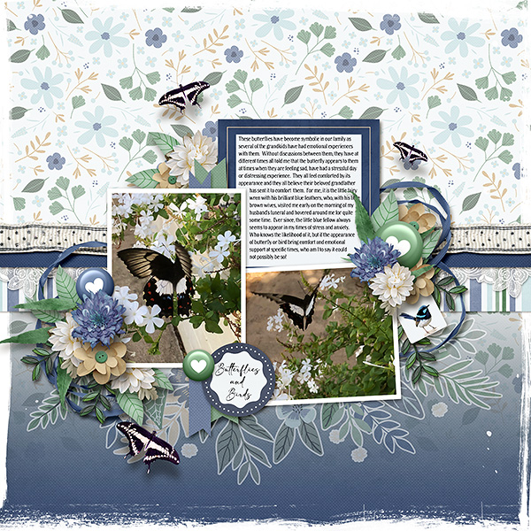Butterflies and Birds