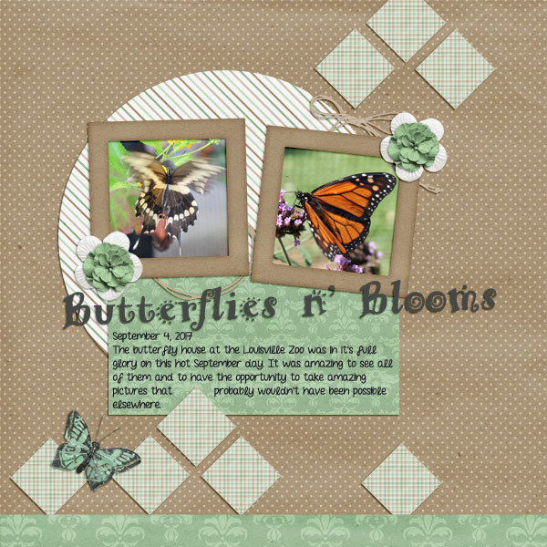 Butterflies and Blooms