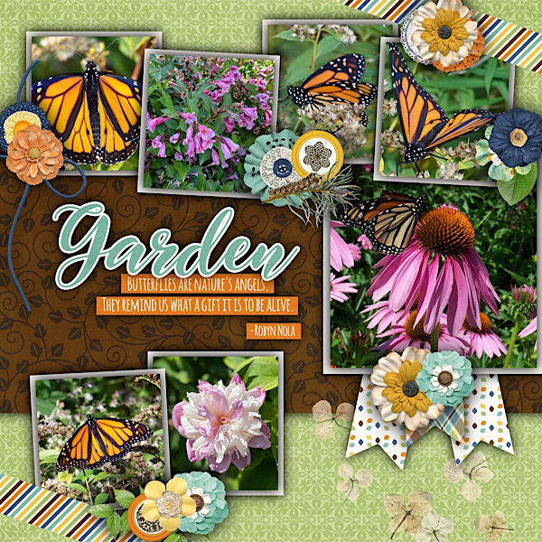 Butterflies and Flowers