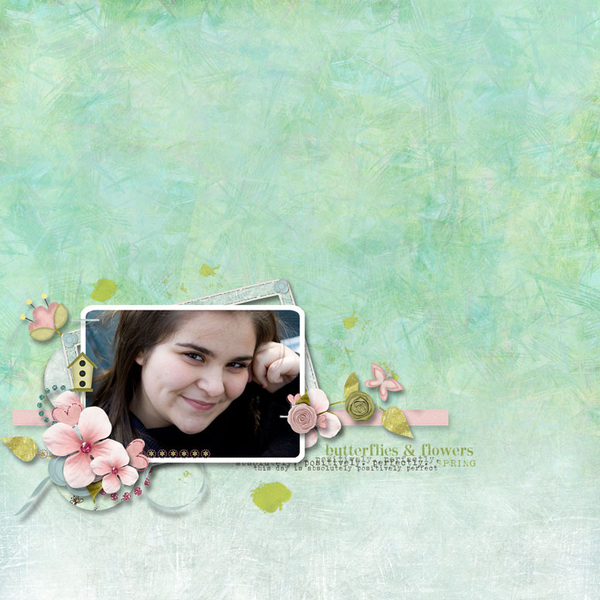 Butterflies and Flowers