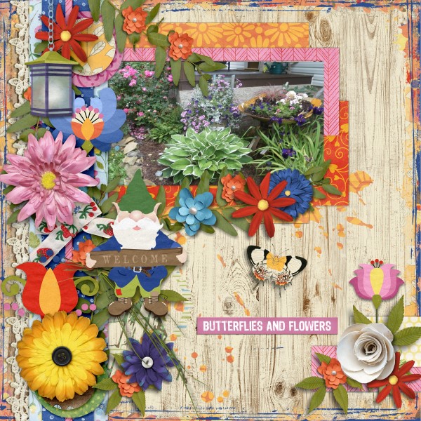 Butterflies and Flowers