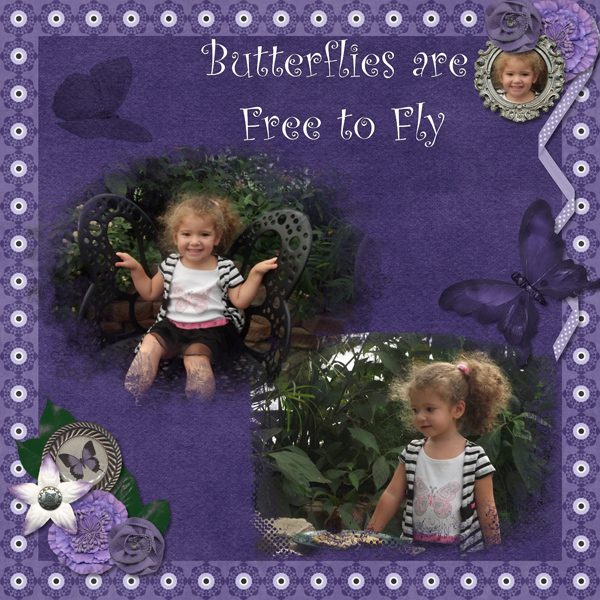Butterflies are Free to Fly
