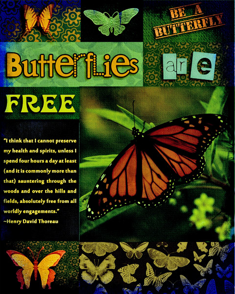 Butterflies Are Free