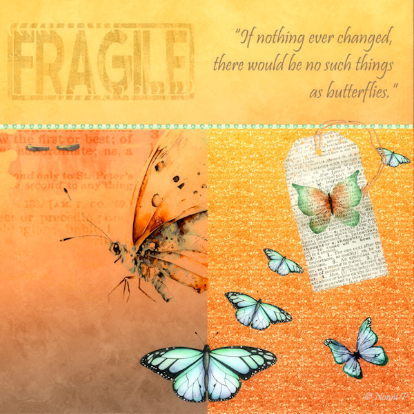 BUTTERFLIES ARE FREE
