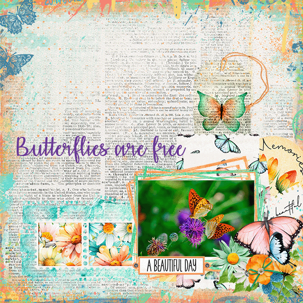 Butterflies Are Free