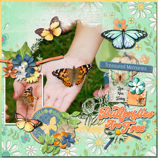 butterflies are free