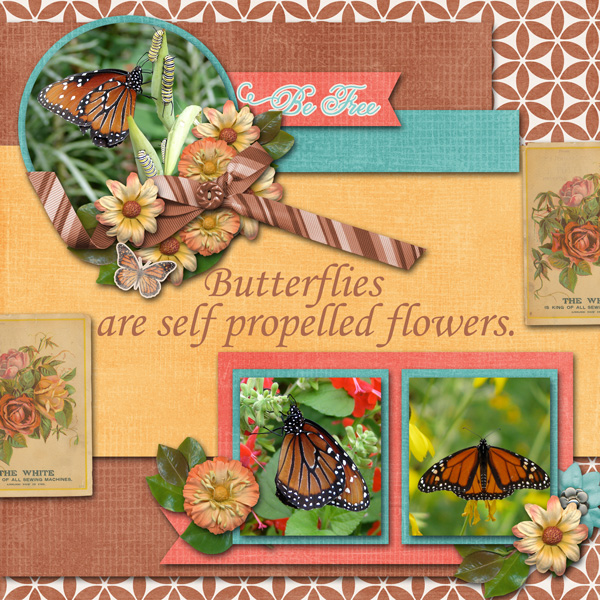 Butterflies are self propelled flowers