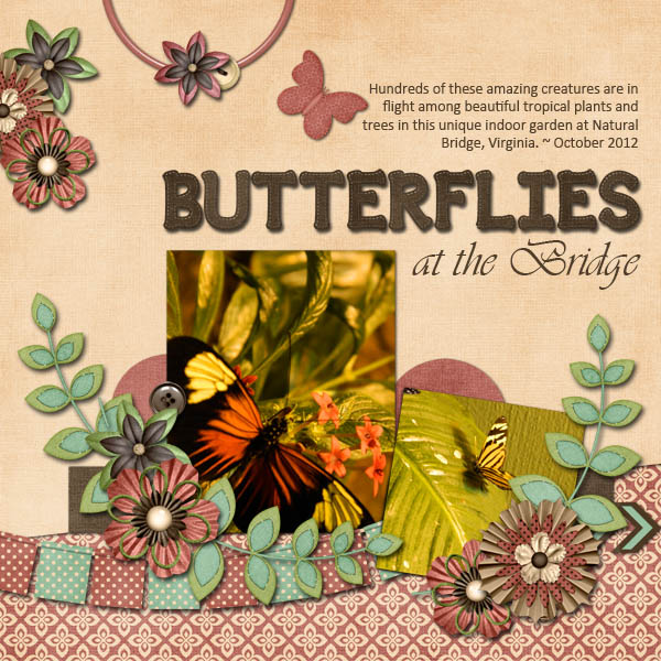 Butterflies at the Bridge