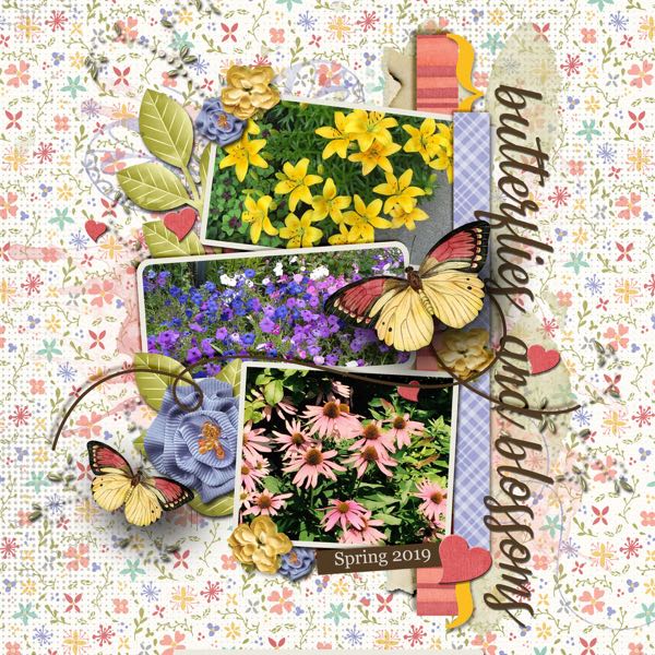 Butterflies + Blossoms