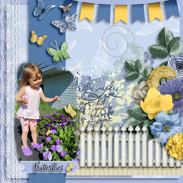 BUTTERFLIES - DD - JUNE 2023